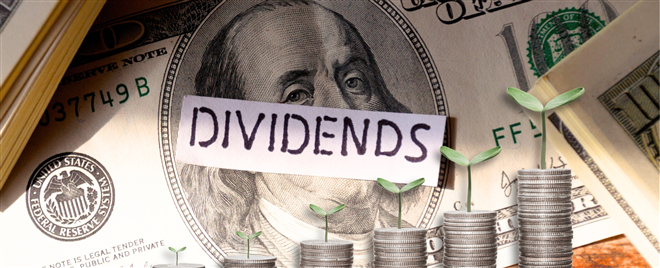 Dividend growth for 2025