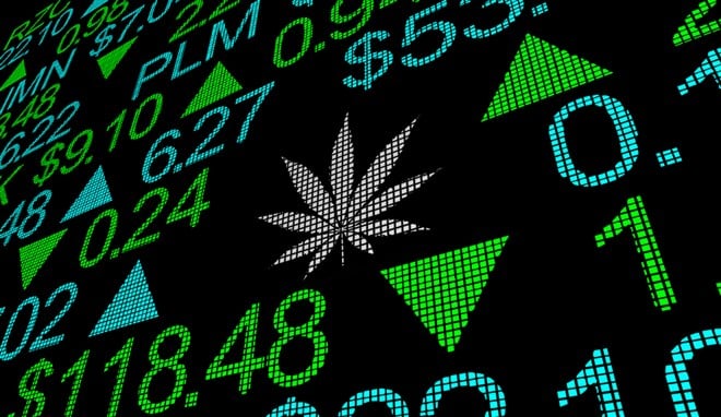 Why Interest in These 3 Weed Stocks is High