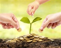 Photo of three hands dropping coins into a pile of coins with a small green plant growing out of them.