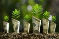 Image of bank notes rolled around plants on soil for business, saving, growth, economic concept — Photo