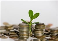 old metal coins of various shapes, countries and values, green money tree seedling in the foreground, money saving concept