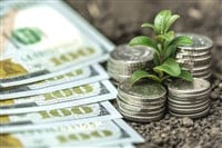 Money growth in soil with green leaves and trees concept, business and farming success finance. Agriculture plant seeding growing step concept in garden