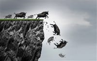 Photo of bulls running off a cliff, symbolic of a major stock plummet after a price surge