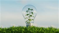 Glass bulb on a ground full of vegetation with a background of clouds and a plant inside it. 3d render - stock image