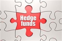 Hedge funds word on jigsaw puzzle, 3D rendering