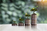 Invest concept. Green tree growing on gold coins. Growing power of compound interest. Prosperous stock investment. Savings. Financial graph showing inflation. stock market chart growth investment. — Photo