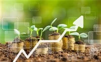 Coins in soil with young plants — Photo