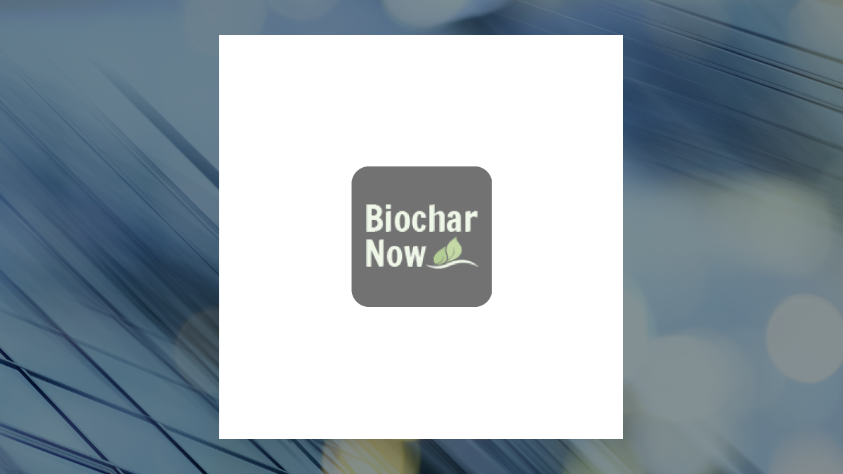 Biochar Now logo