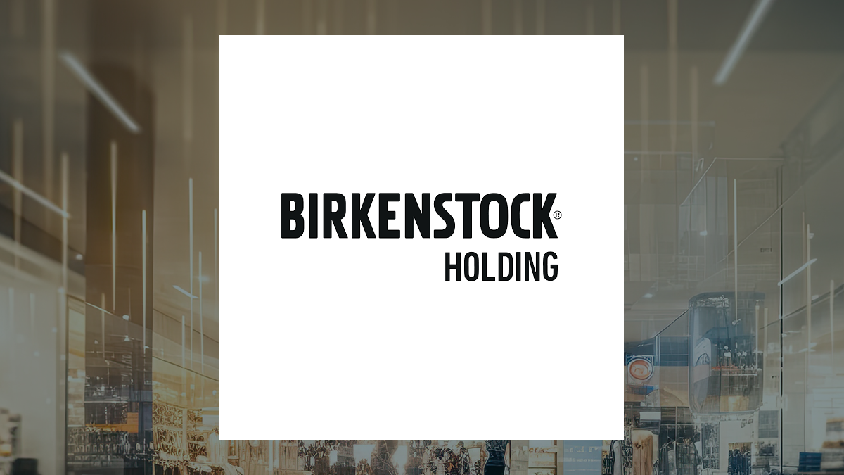 Birkenstock logo with Consumer Discretionary background