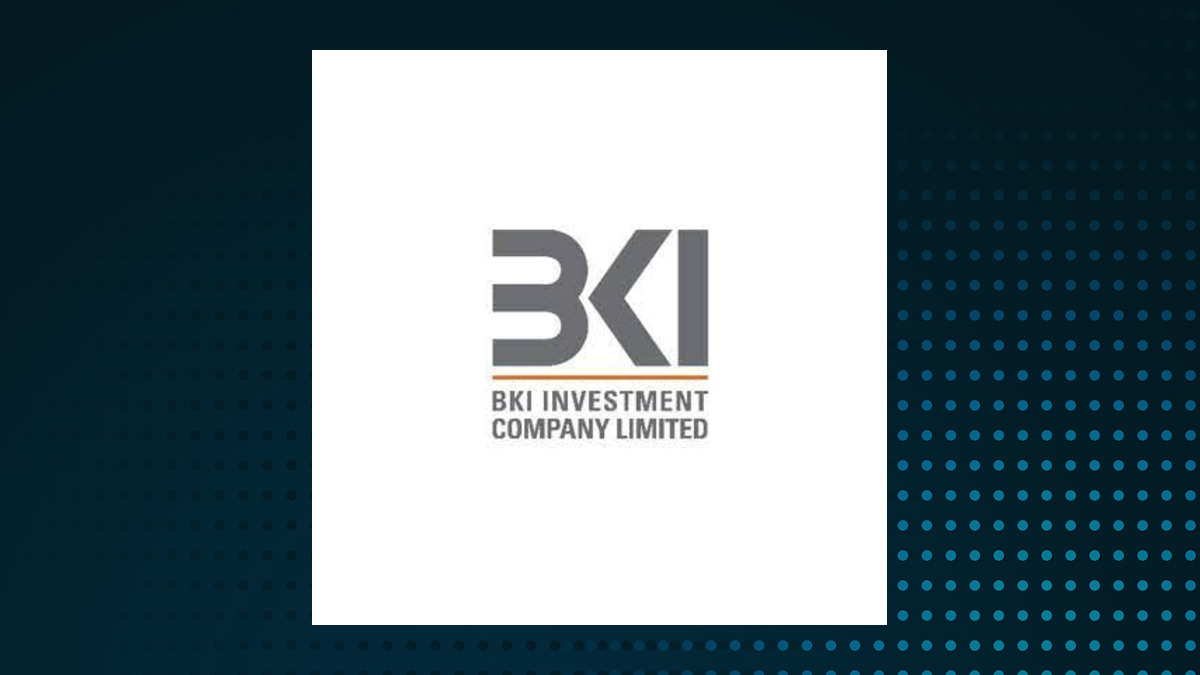 BKI Investment logo