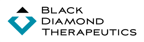 Black Diamond Therapeutics logo