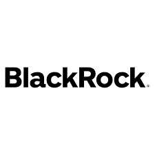 Blackrock Advantage Large Cap Income ETF