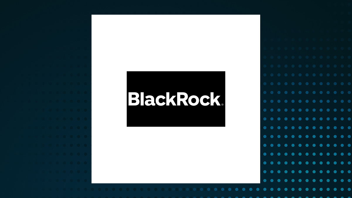 Private Advisor Group LLC Has $524,000 Stock Holdings in BlackRock Health Sciences Term Trust (NYSE:BMEZ)