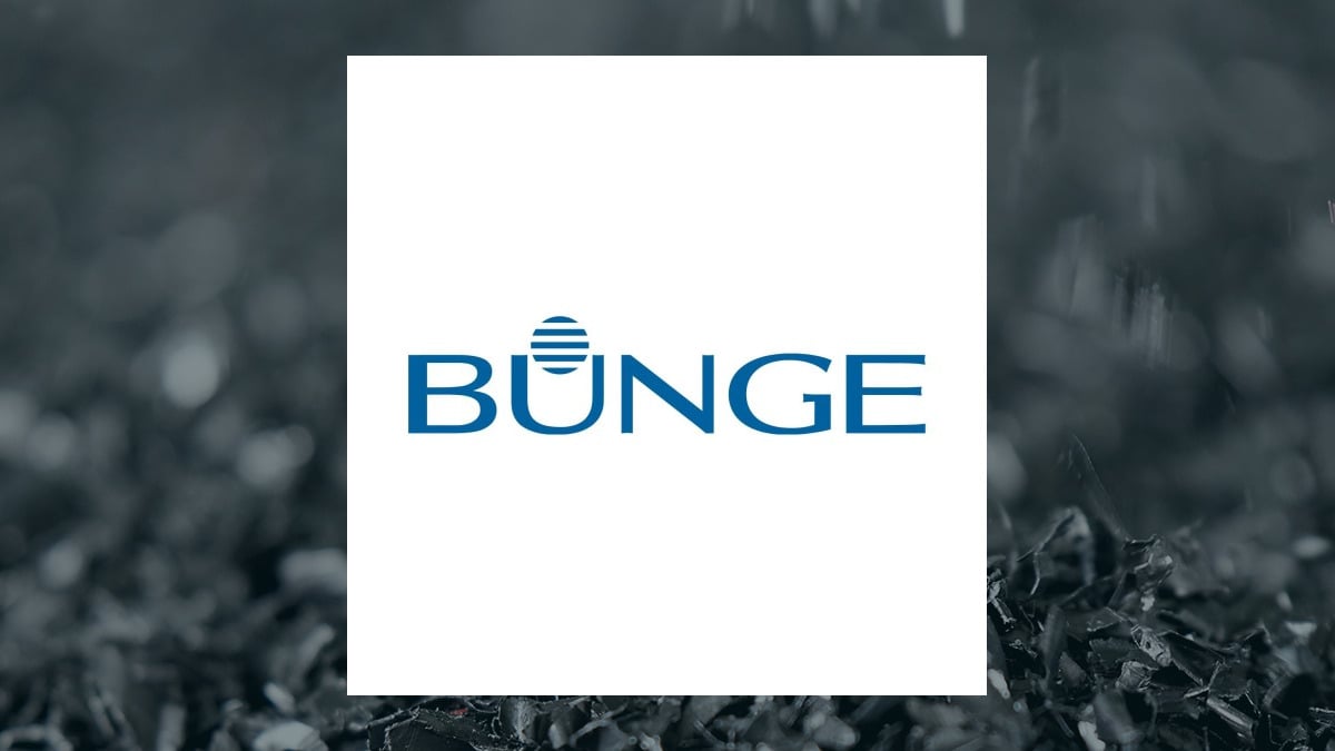 Bunge Global logo with Basic Materials background
