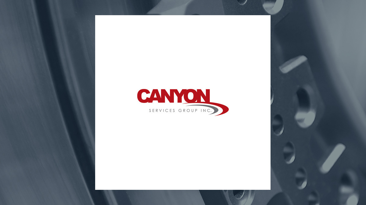 Canyon Services Group logo