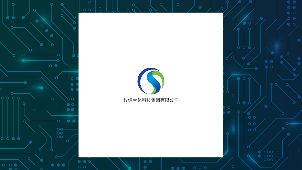 China Sun Group High-Tech logo