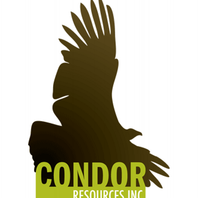 Condor Resources