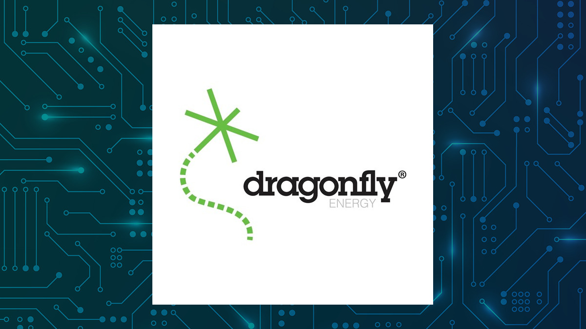 Dragonfly Energy logo with Computer and Technology background