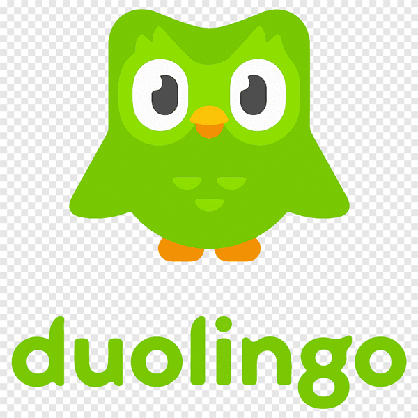 Matthew Skaruppa Sells 8,000 Shares of Duolingo, Inc. (NYSE:DUOL) Stock