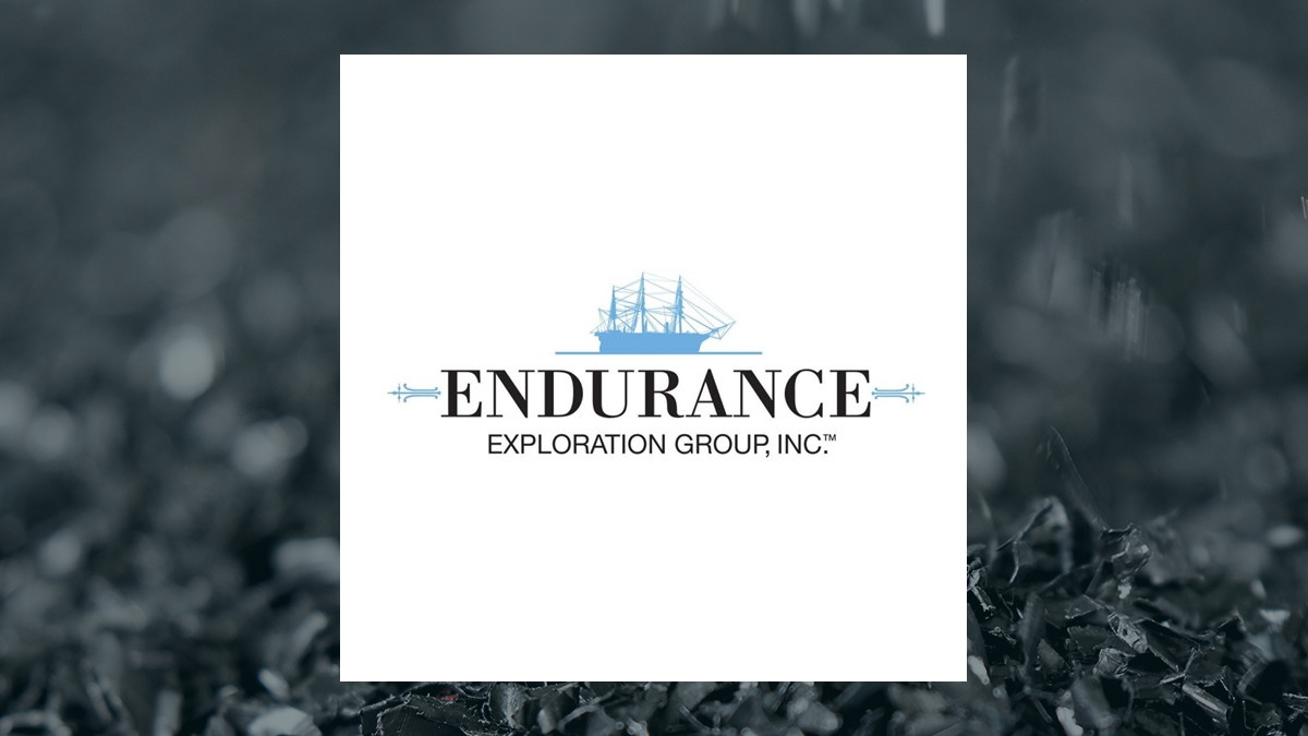 Endurance Exploration Group logo