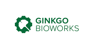 Insider Selling: Ginkgo Bioworks Holdings, Inc. (NYSE:DNA) Insider Sells 343071 Shares of Stock