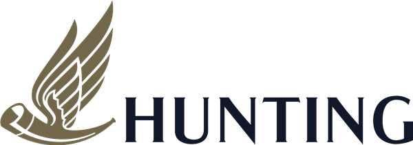 HNTIF stock logo