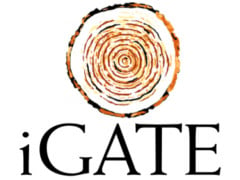 IGTE stock logo
