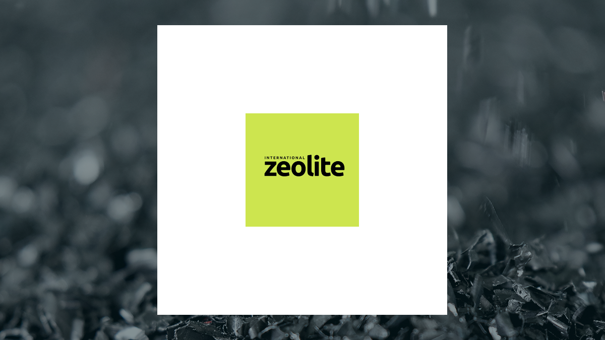 International Zeolite logo