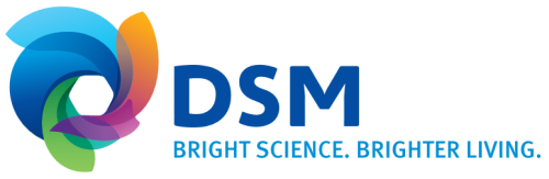 RDSMY stock logo
