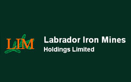 LIM stock logo