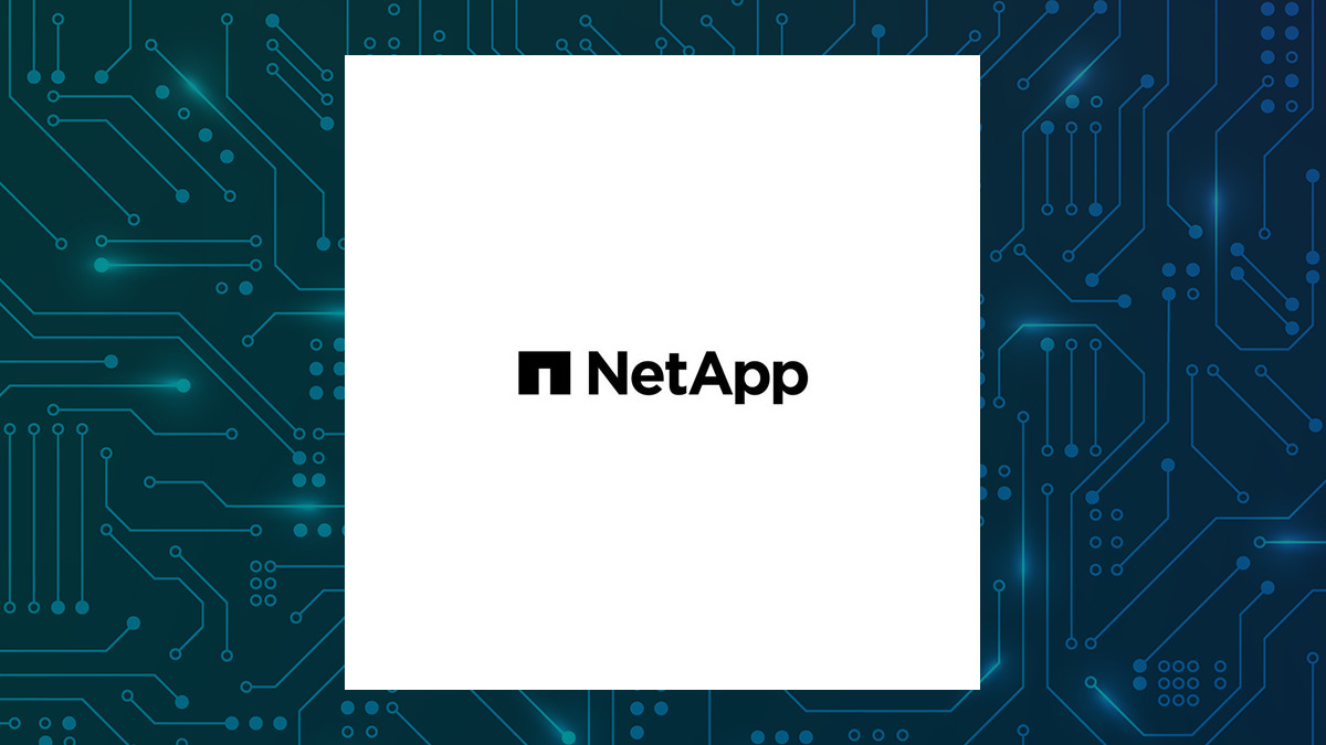 NetApp logo - Brand2Global
