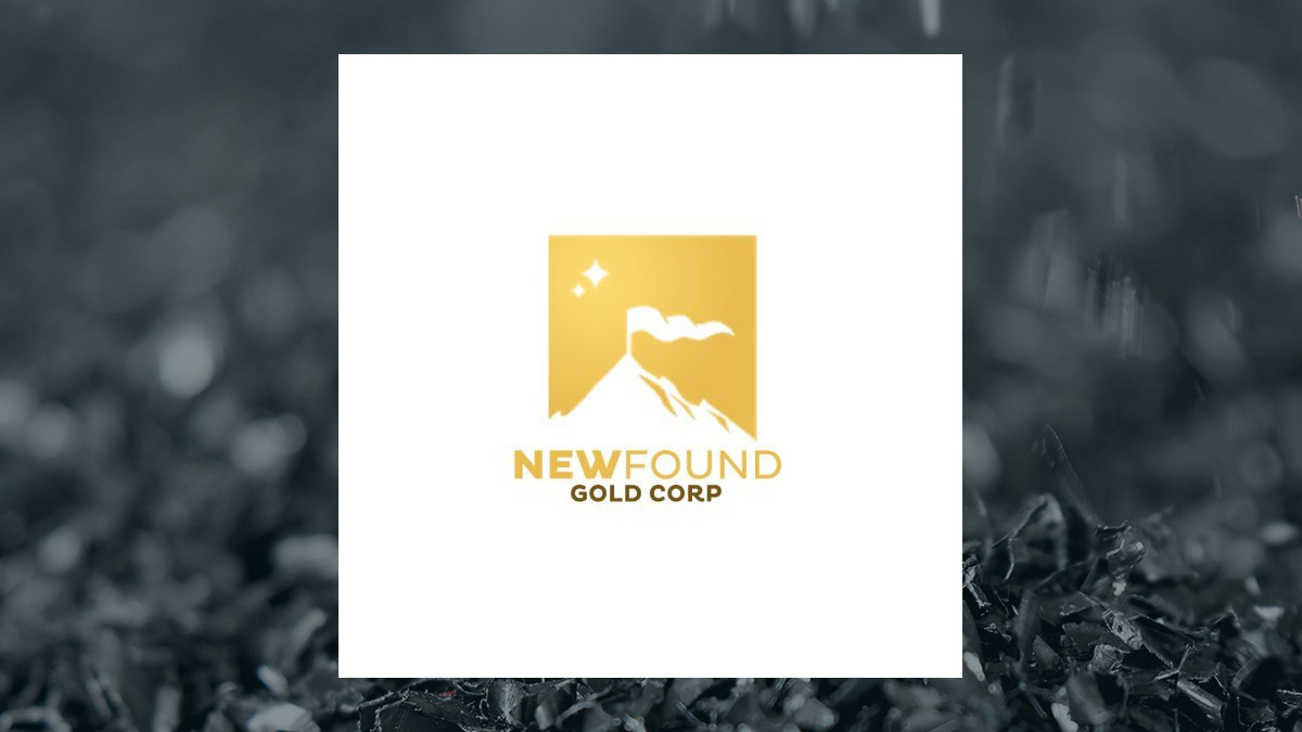 New Found Gold logo with Basic Materials background