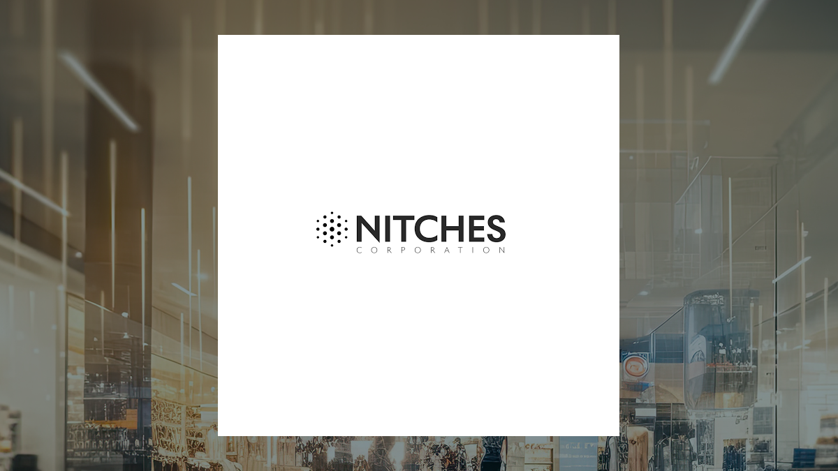 Nitches logo