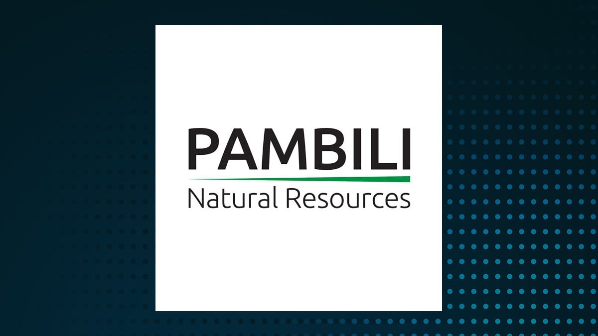 Pambili Natural Resources logo