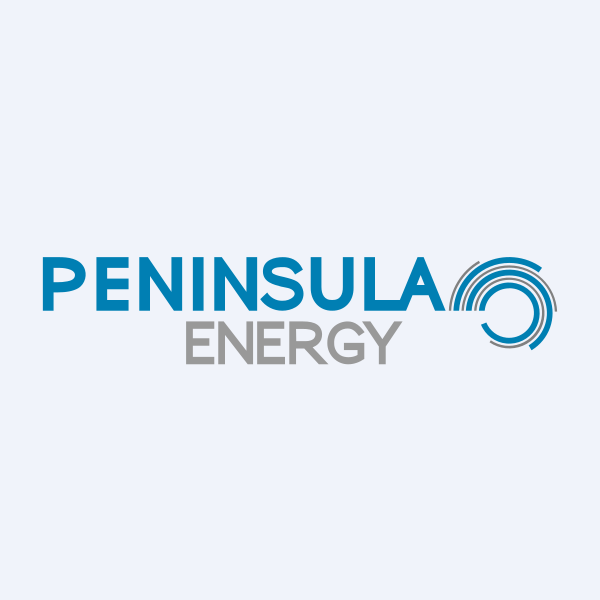 PEN stock logo