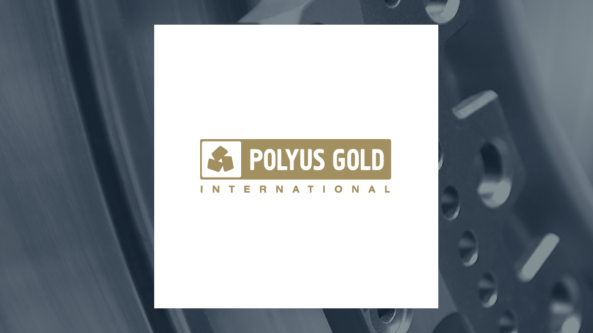 Polyus Gold International Limited (PLZLY) logo