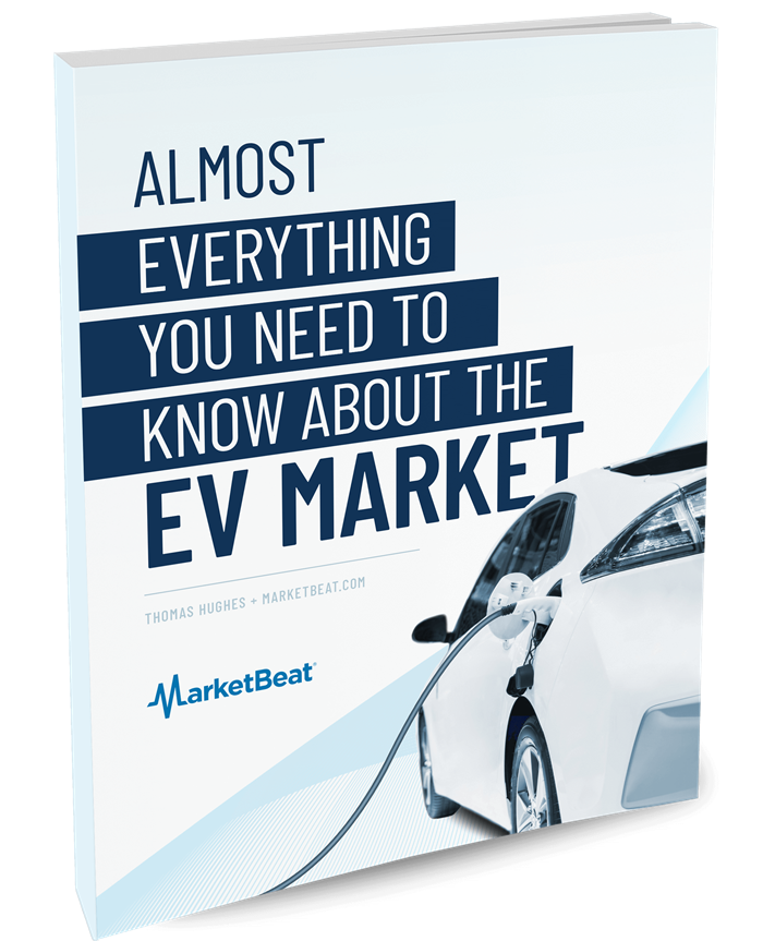 (Almost) Everything You Need To Know About The EV Market Cover