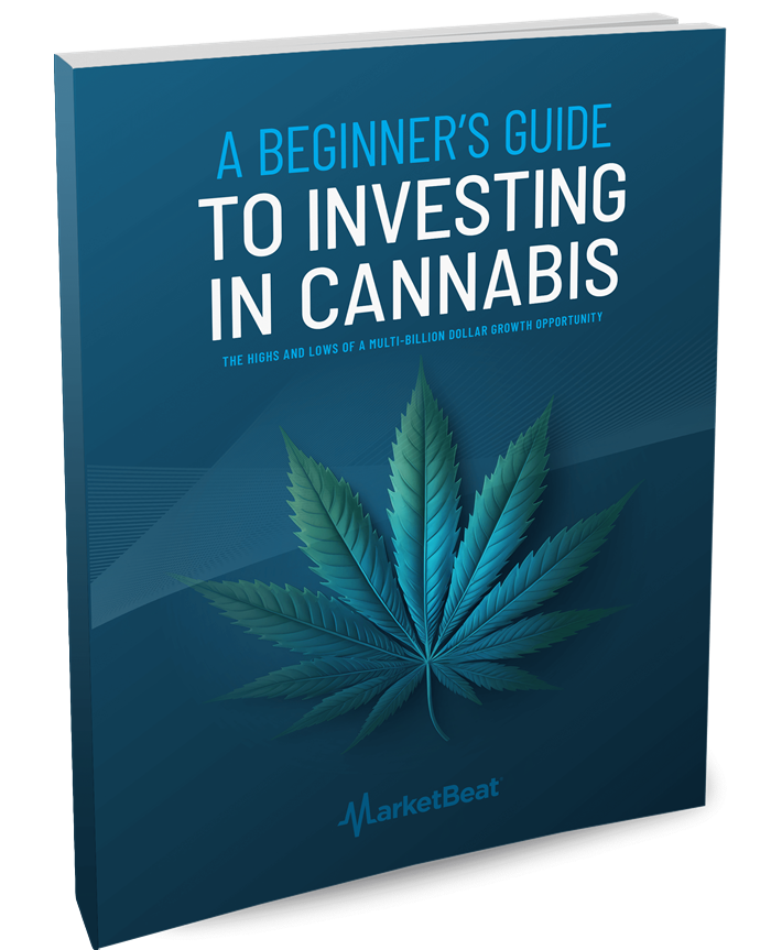 A Beginner's Guide to Investing in Cannabis Cover