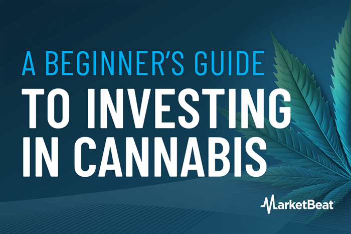 A Beginner’s Guide to Investing in Cannabis