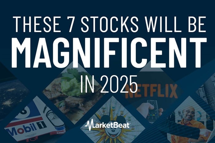 These 7 Stocks Will Be Magnificent in 2025