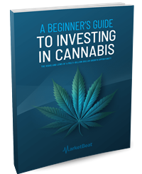 A Beginner’s Guide to Investing in Cannabis cover