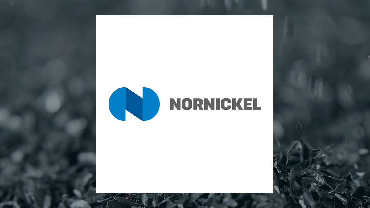 Public Joint Stock Company Mining and Metallurgical Company Norilsk Nickel logo