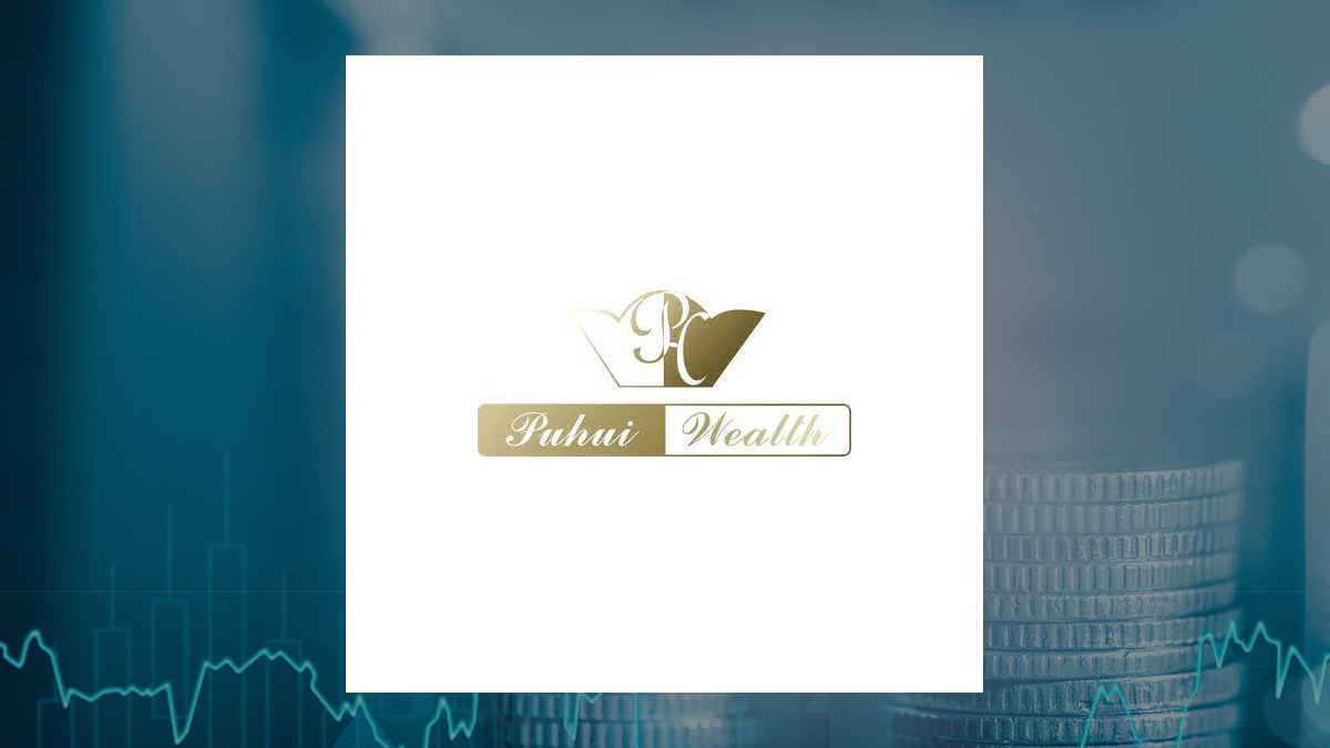 Puhui Wealth Investment Management logo