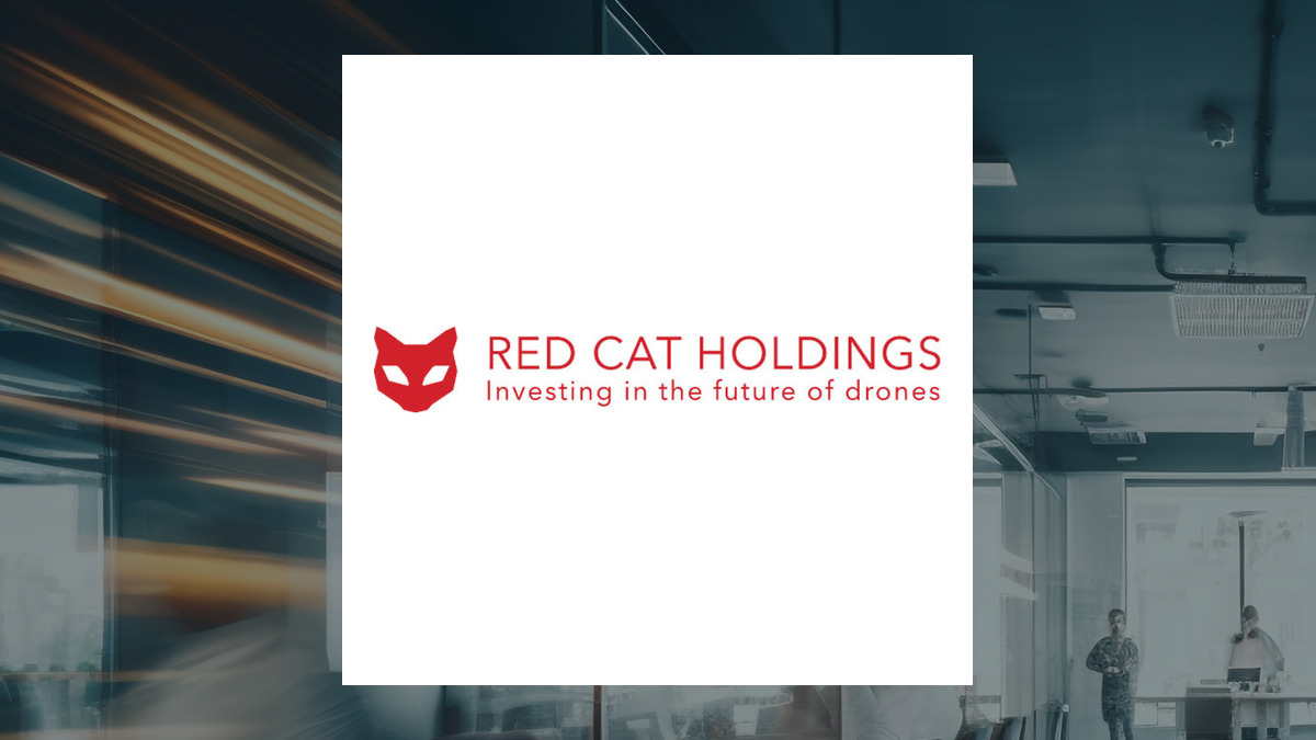 Red Cat logo with Business Services background