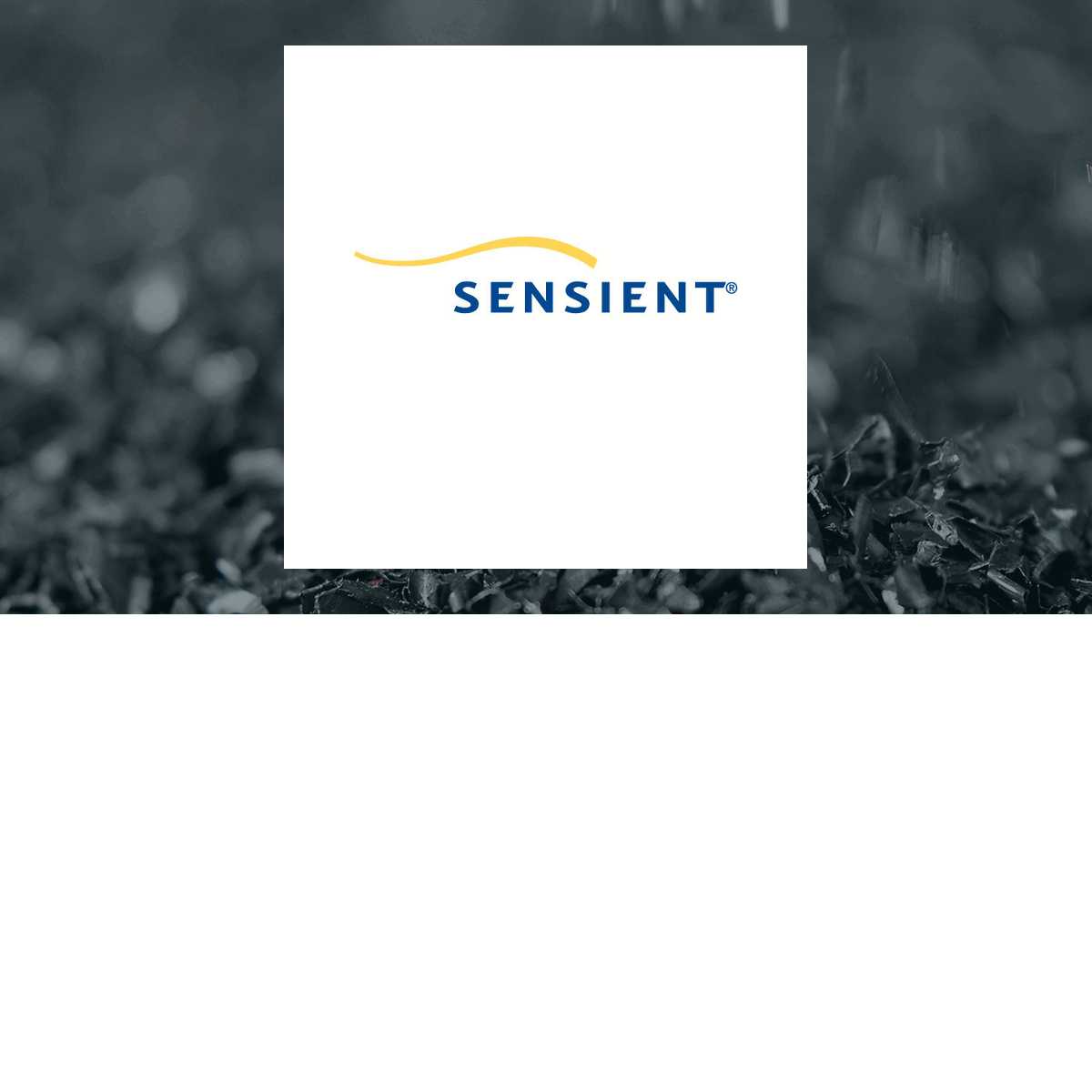 Sensient Technologies logo with Basic Materials background