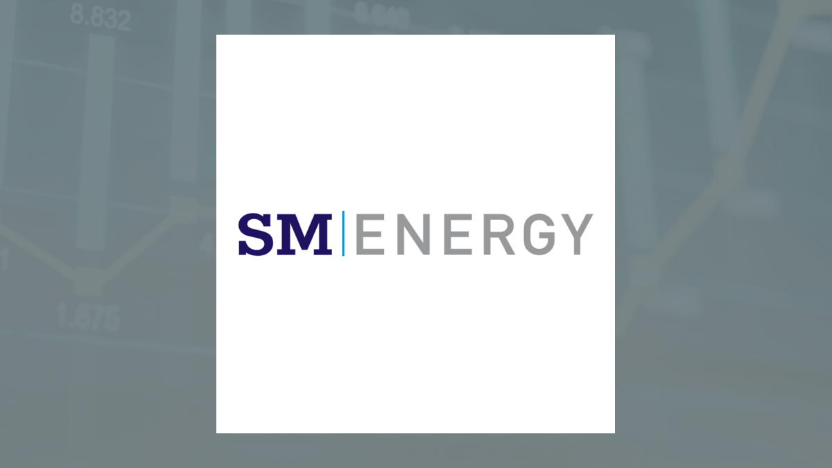 Palisade Capital Management LP Sells 114,443 Shares of SM Energy (NYSE