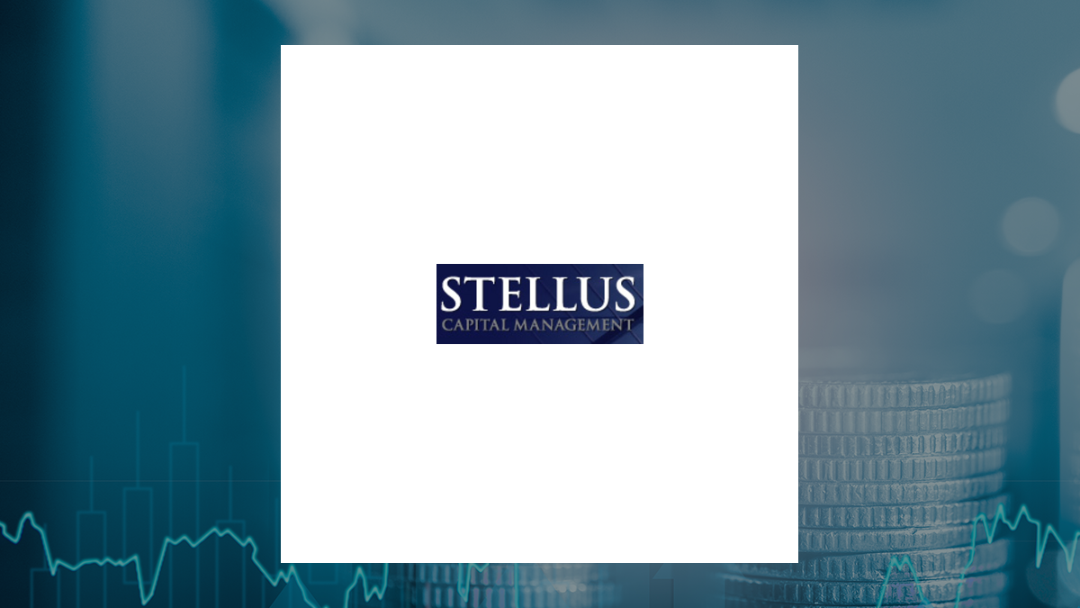 Stellus Capital Investment logo