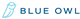 Blue Owl Capital Inc.d stock logo
