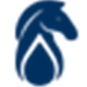 Blueknight Energy Partners, L.P. stock logo