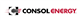 CONSOL Energy Inc.d stock logo
